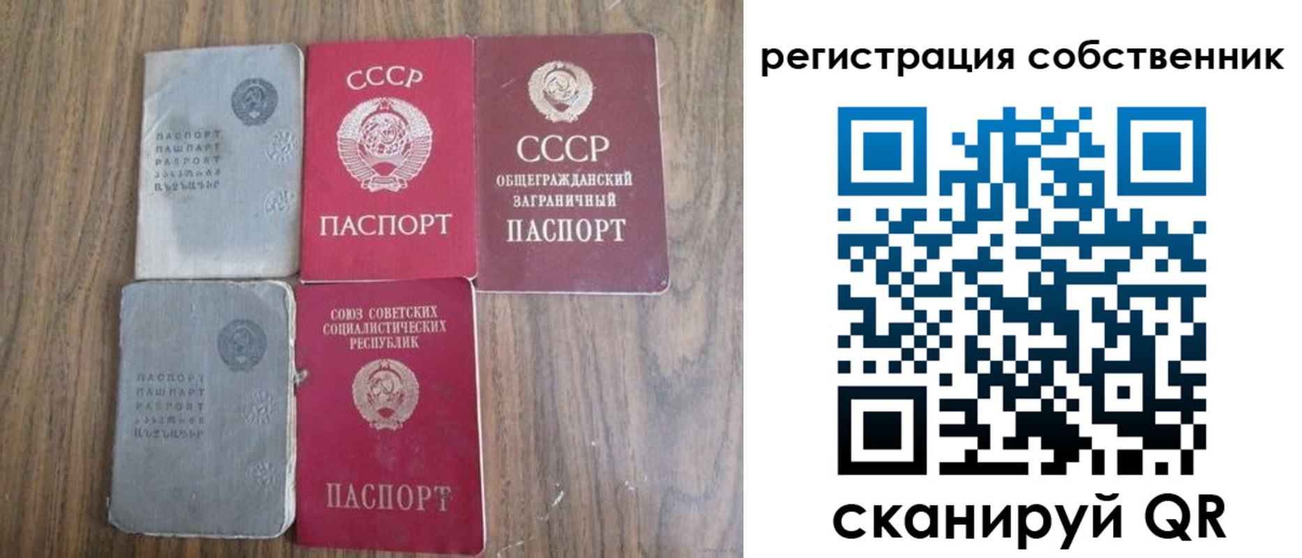 прописка поиск в Коле